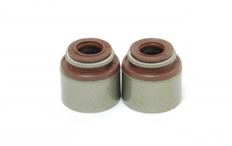Supertech Valve Seal Duratec 5.5mm Viton Integral